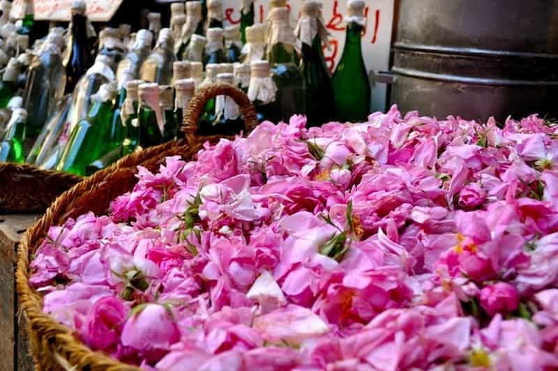 تصویر 4 از گلاب ربیع لوکس با کیفیت ممتاز و خلوص بالا